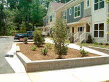 urban bioretention