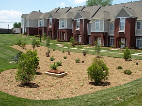 bioretention gardens